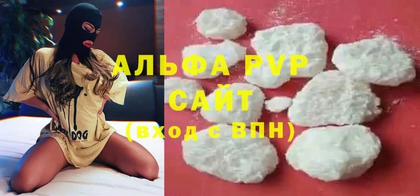 стаф Осташков