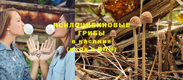 ECSTASY Нязепетровск