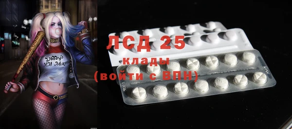 стаф Осташков
