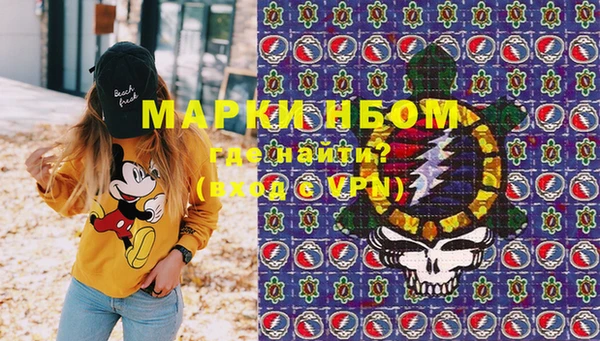 стаф Осташков