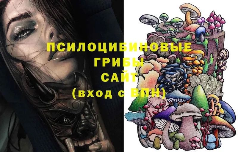 Псилоцибиновые грибы Psilocybe  Лермонтов 