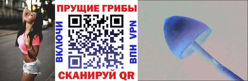 Псилоцибиновые грибы Psilocybine cubensis  Лермонтов 